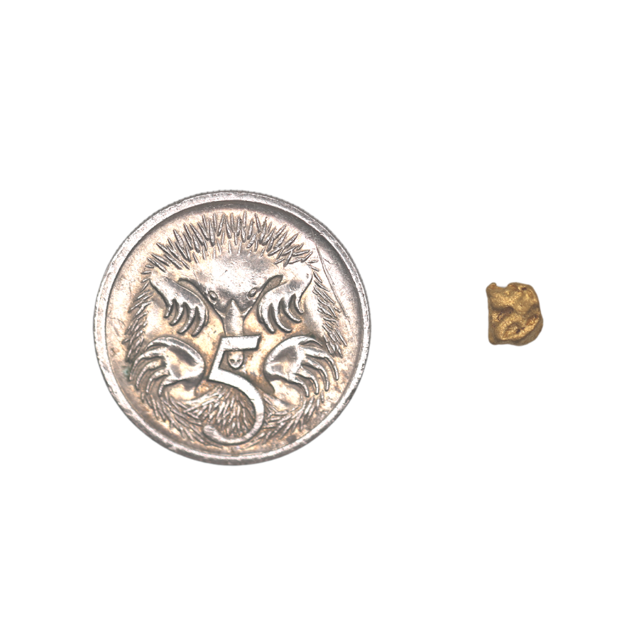 Australian Natural Gold Nugget By ILLARIY x RAWGOLD (19)