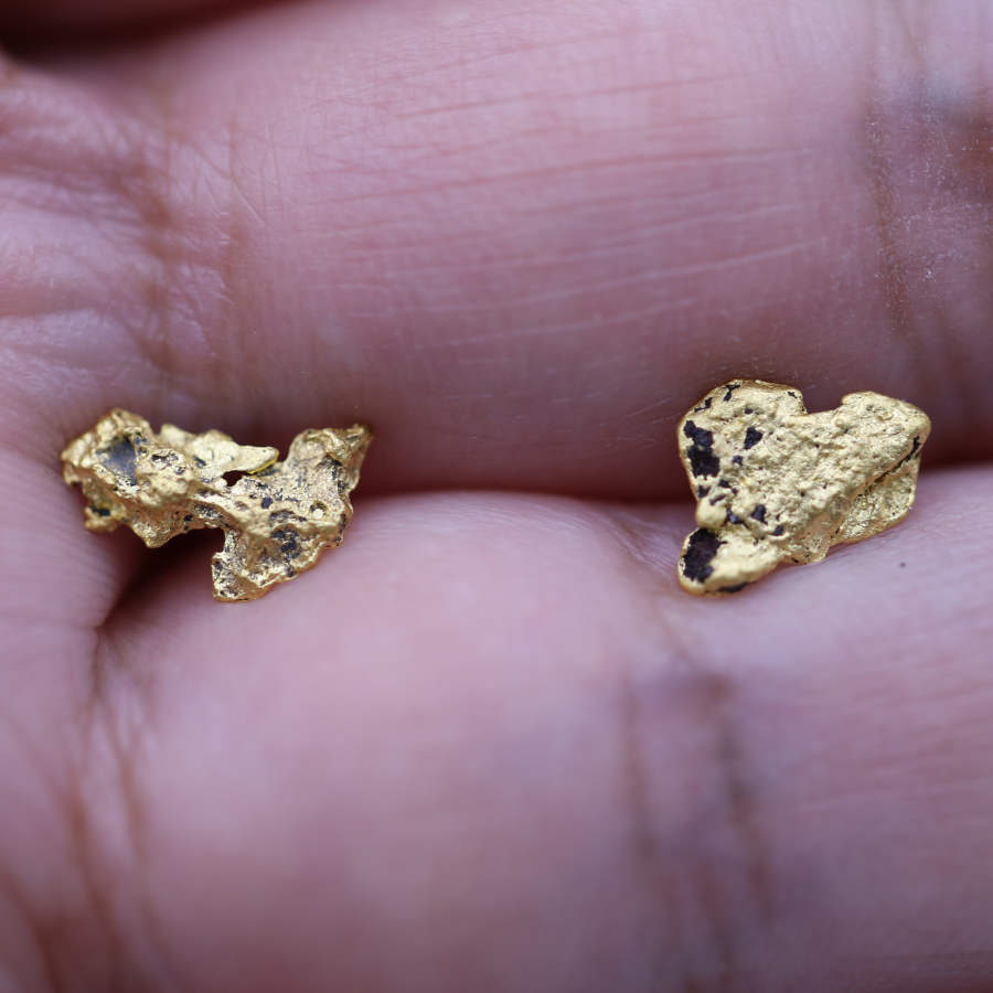 Australian Raw Gold Nugget Studs In 23 Karat - High Grade - By ILLARIY x RAWGOLD (2AB)